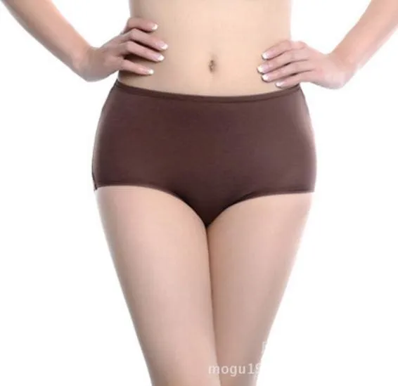 3 Pieces Women Briefs Comfortable Cool Bamboo Fiber Panties