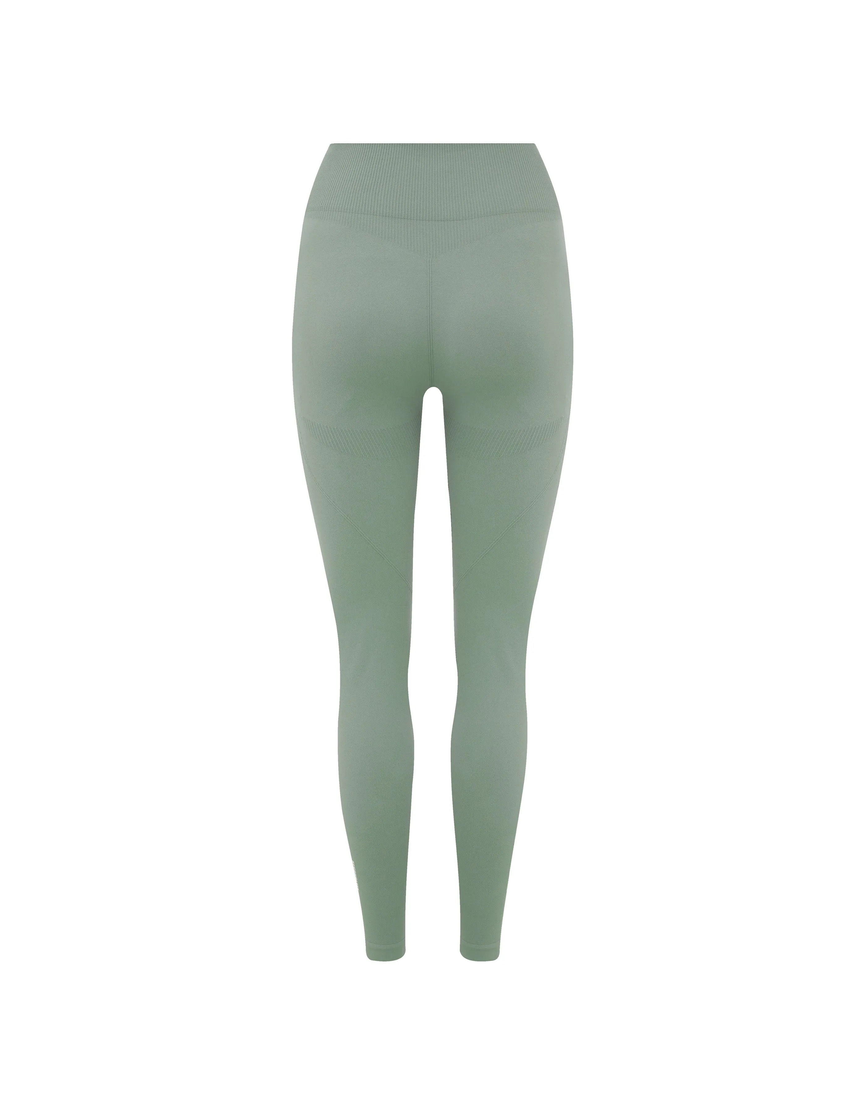 Seamless Full Length Tights - Blue